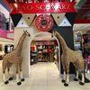 FAO Schwarz