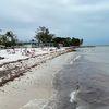 Clarence S.Higgs Memorial Beach