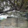 Mrs Macquarie's Chair