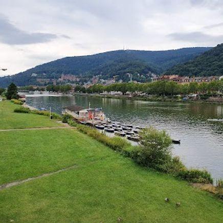 Neckarwiese